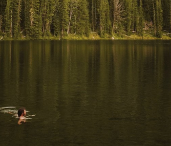 Simba Hikes the CDT - Dispatch #3