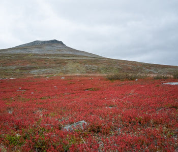 Outdoor Gift Ideas for Your Valentine