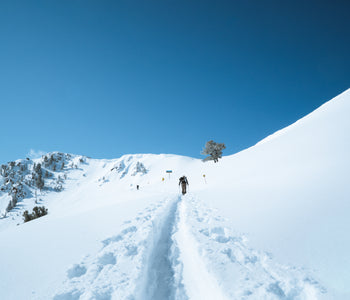 Winter Outlook 2021 - Reservations & Restrictions at Utah Resorts